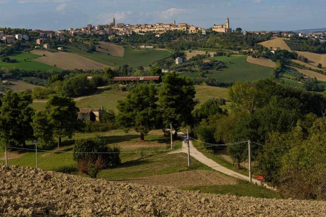 Photo of Others in Monte San Pietrangeli
