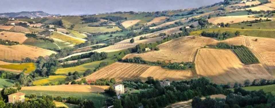 Photo of Others in Monte San Pietrangeli