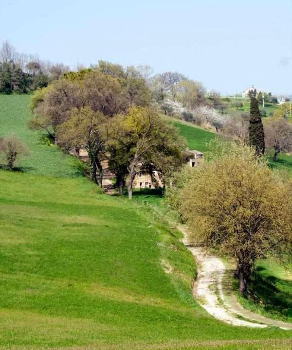 Photo of Others in Monte San Pietrangeli