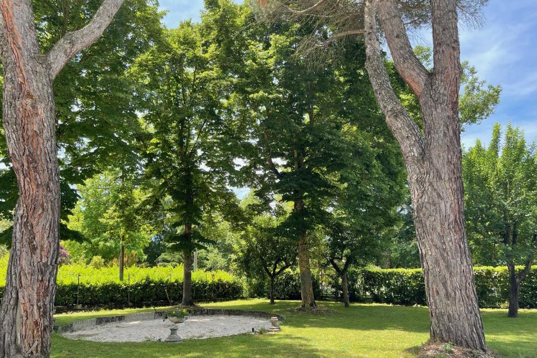 Photo of Others in Avezzano