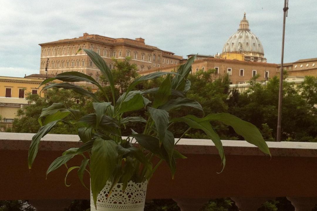 Photo of Others in Vatican