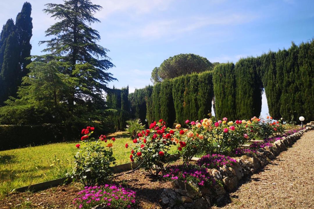 Photo of Others in Campagnatico