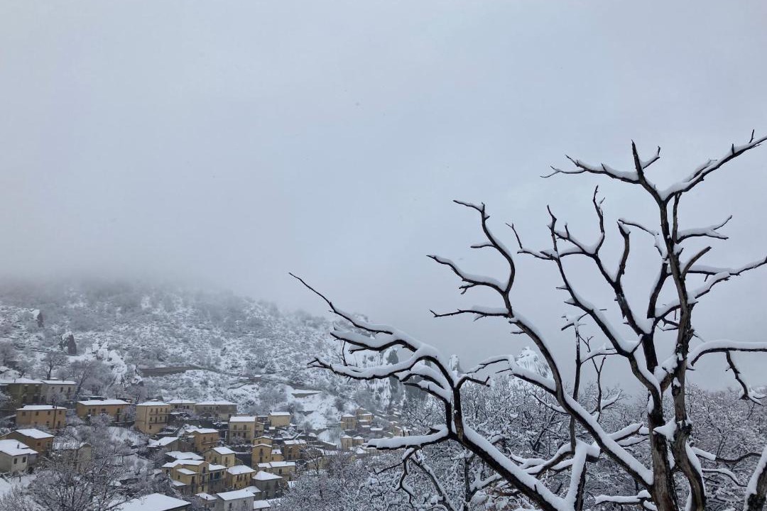 Photo of Others in Castelmezzano