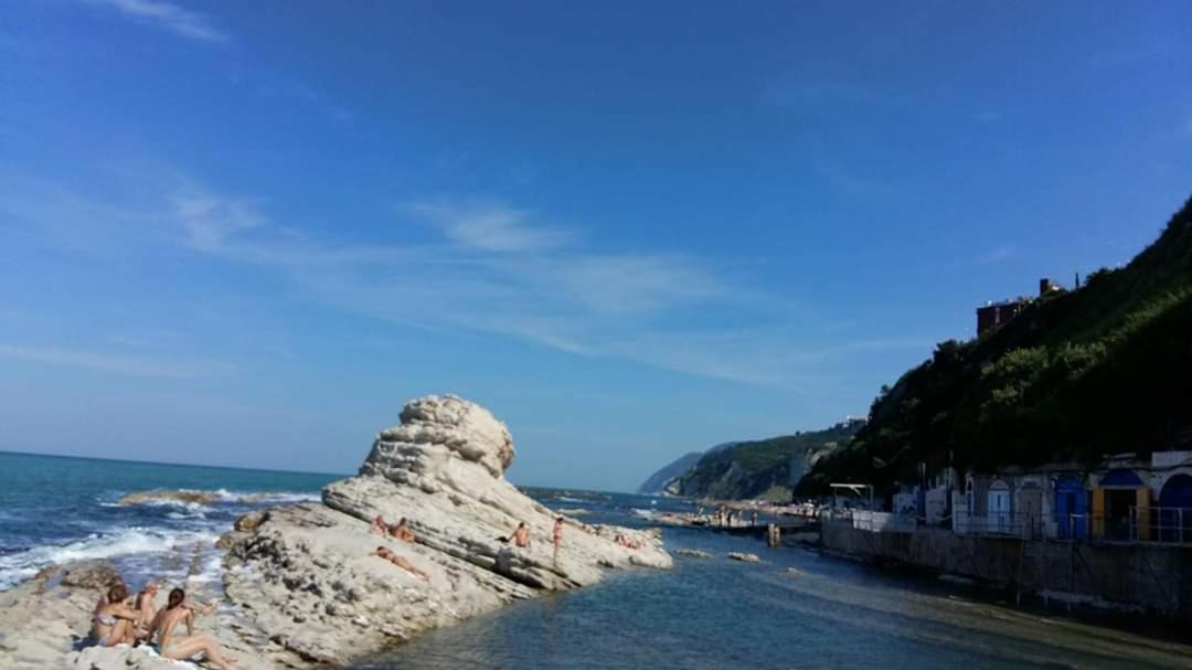Photo of Others in Ancona
