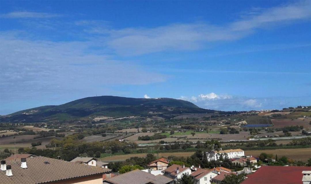 Photo of Others in Castelfidardo