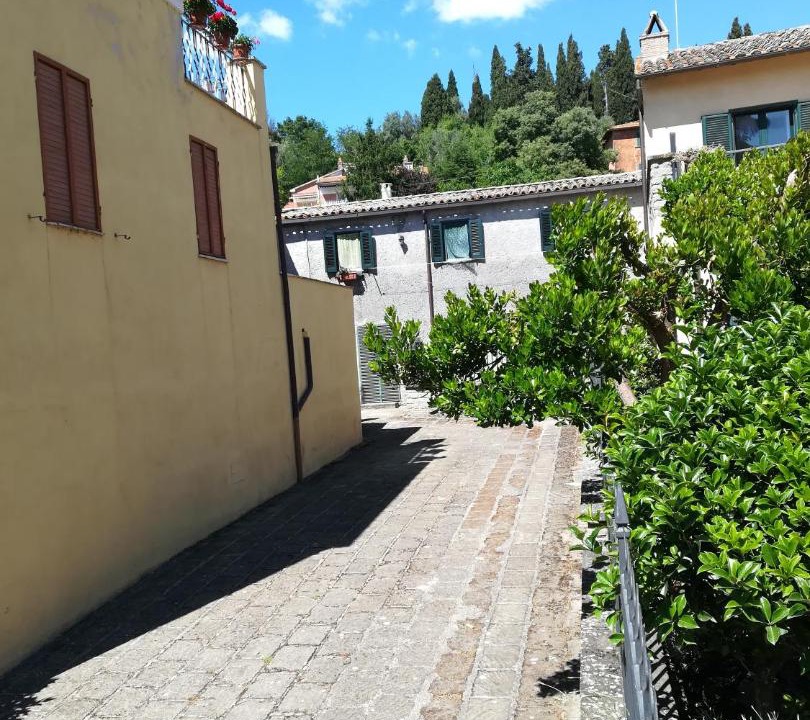 Photo of Others in Bolsena