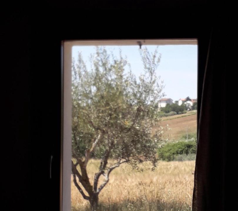 Photo of Others in San Costanzo