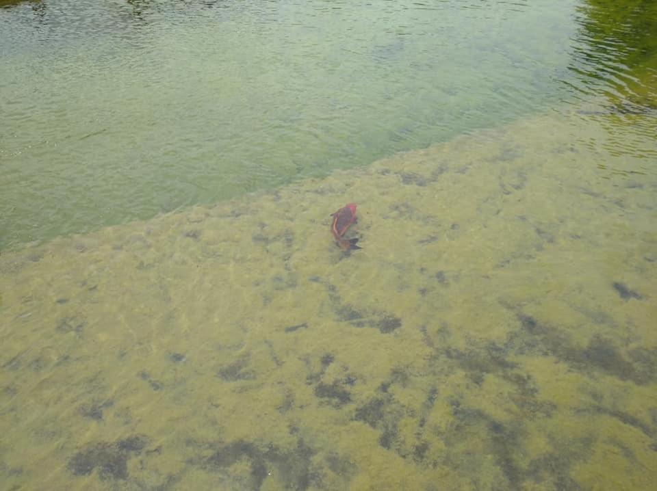 Photo of Others in Roccastrada