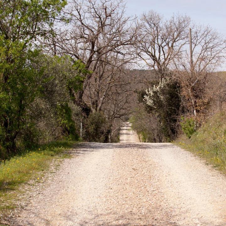 Photo of Others in Campagnatico