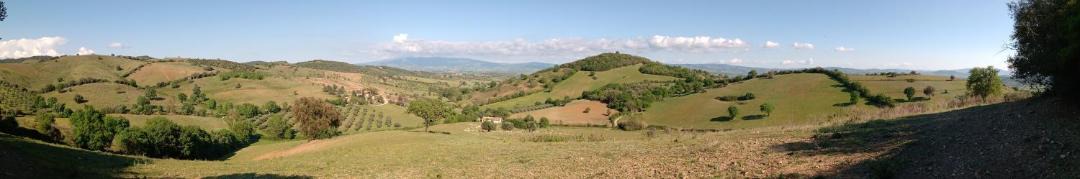 Photo of Others in Campagnatico