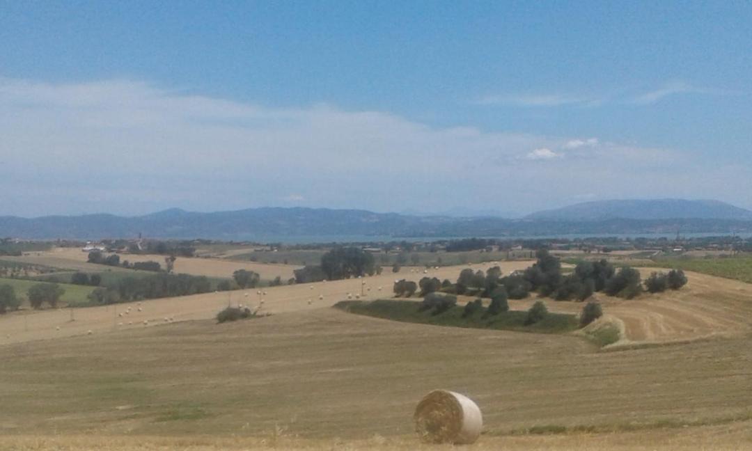 Photo of Others in Castiglione del Lago