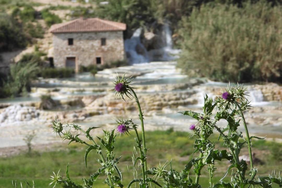 Photo of Buildings in Manciano