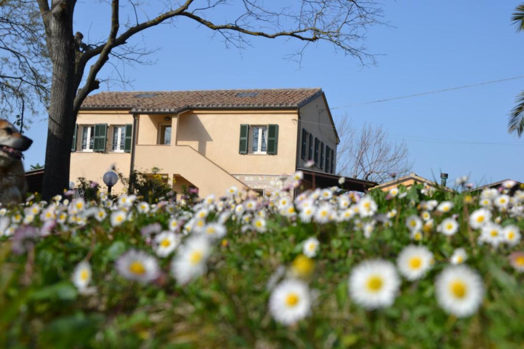 Photo of Others in Ancona