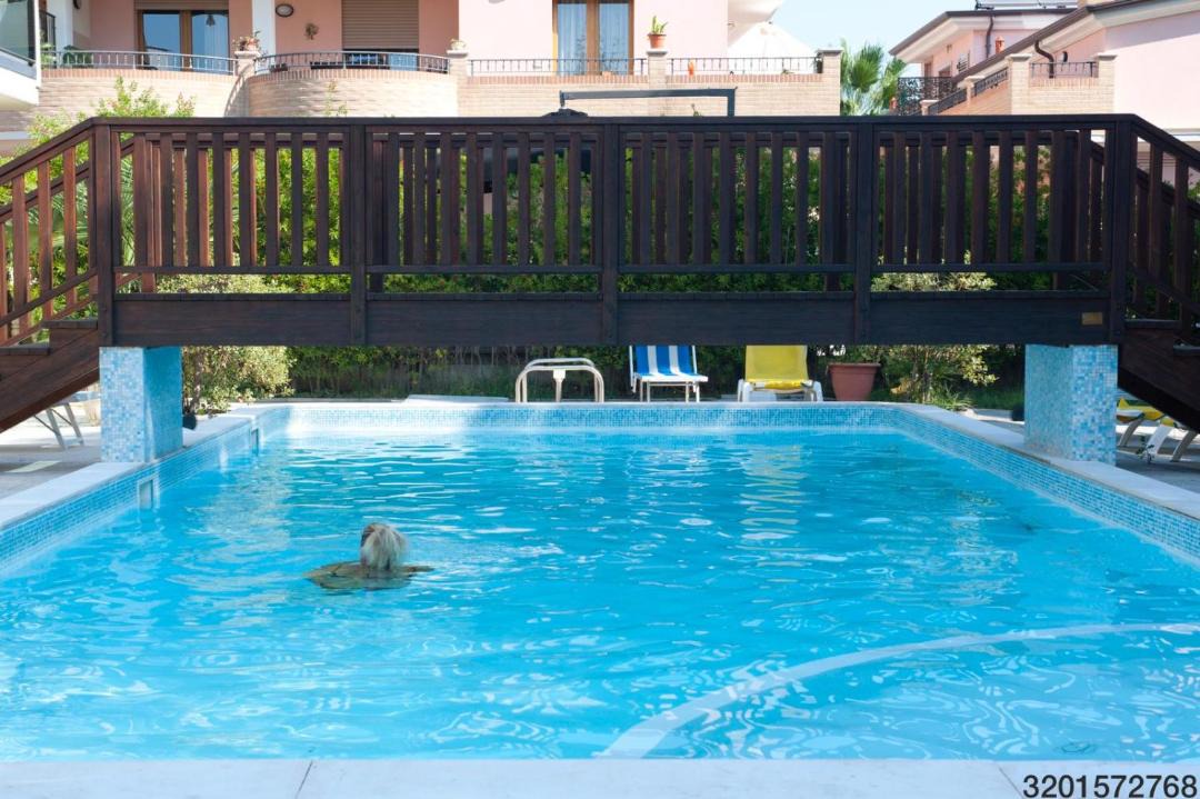 Photo of Others in Tortoreto Lido