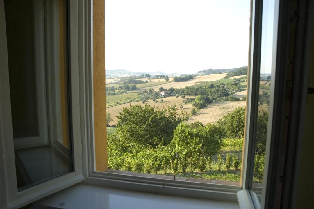 Photo of Others in Camerano