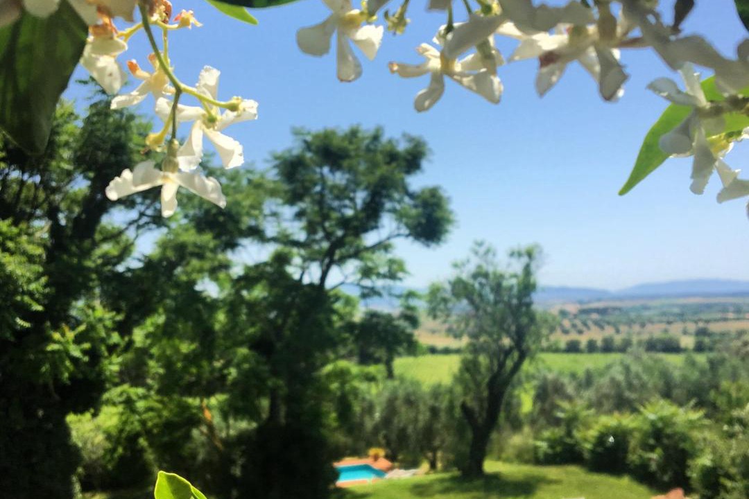 Photo of Others in Magliano in Toscana