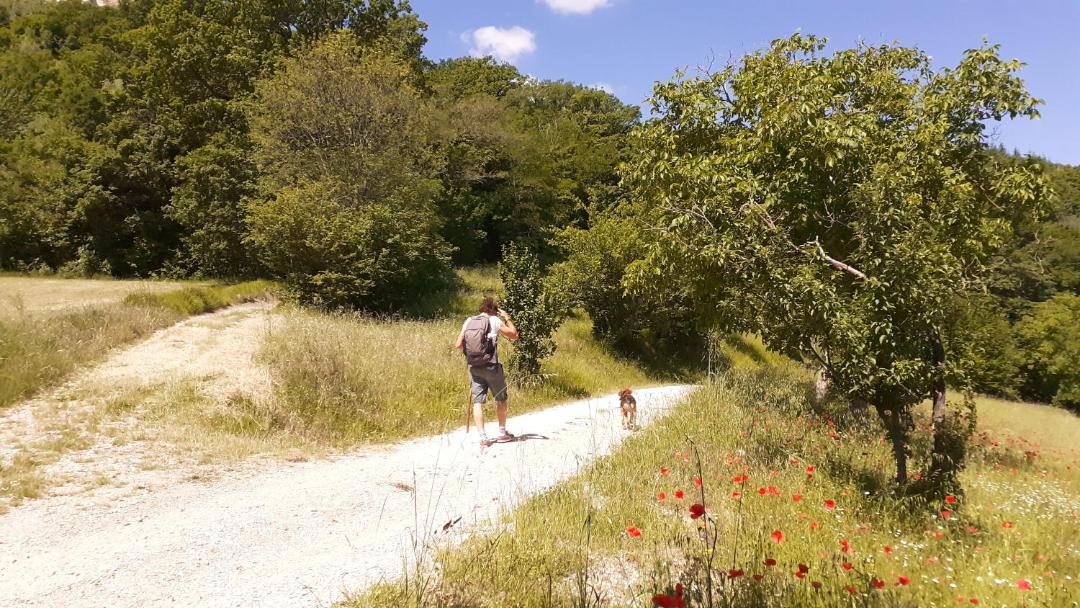 Photo of Others in Valtopina