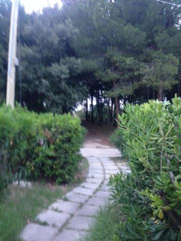Photo of Others in Marina di Vasto