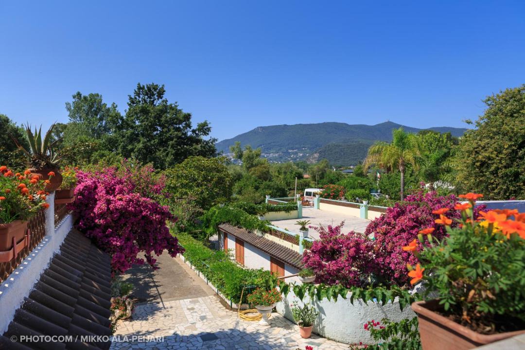 Photo of Others in San Felice Circeo