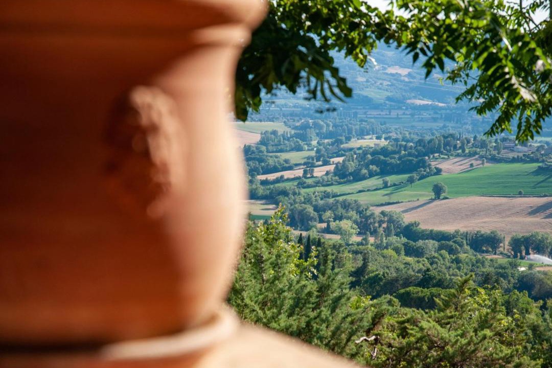 Photo of Others in Montelovesco