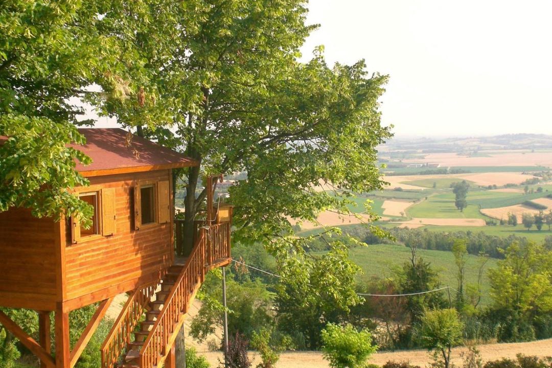 Photo of Others in San Salvatore Monferrato