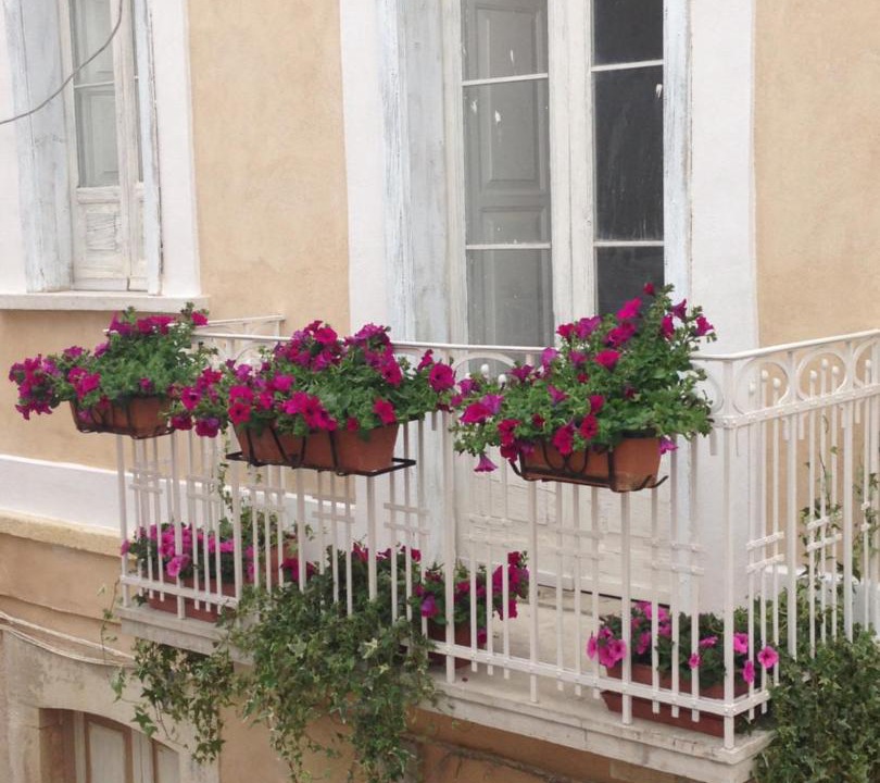 Photo of Others in Canosa di Puglia