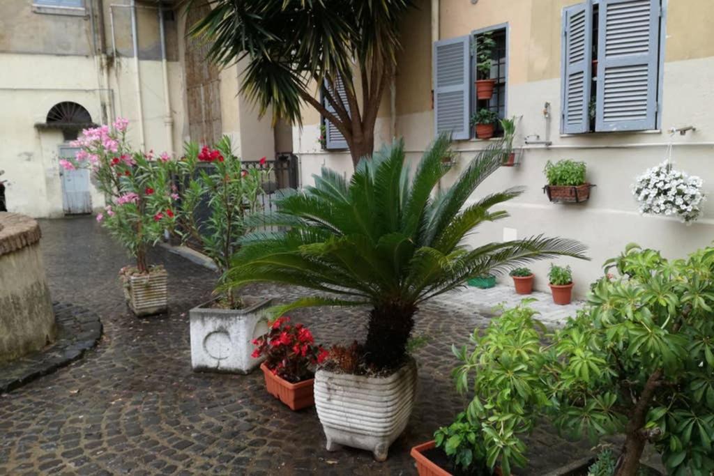 Photo of Others in Trastevere