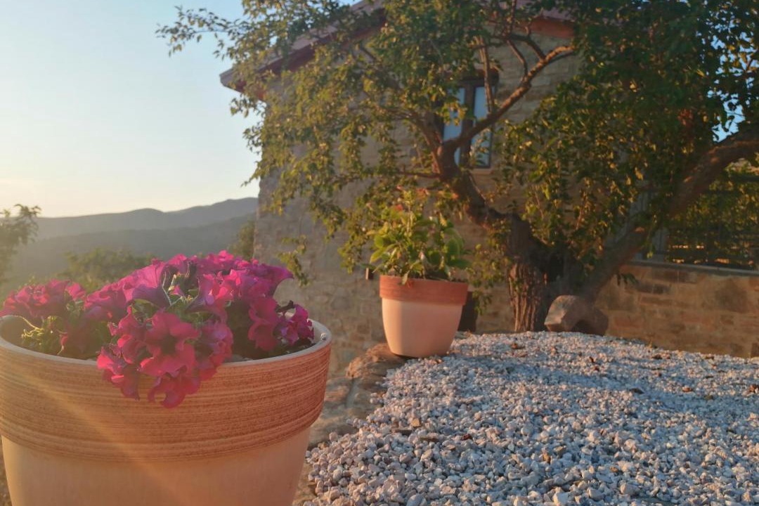 Photo of Others in San Mauro Cilento