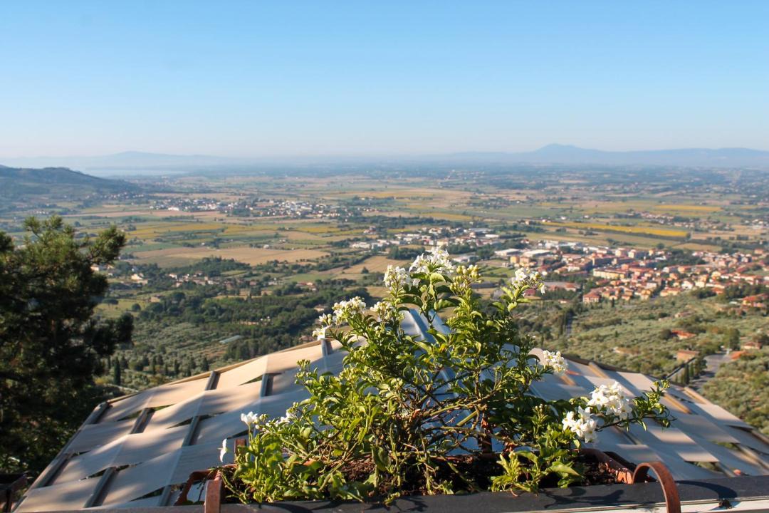 Photo of Others in Cortona Old Town