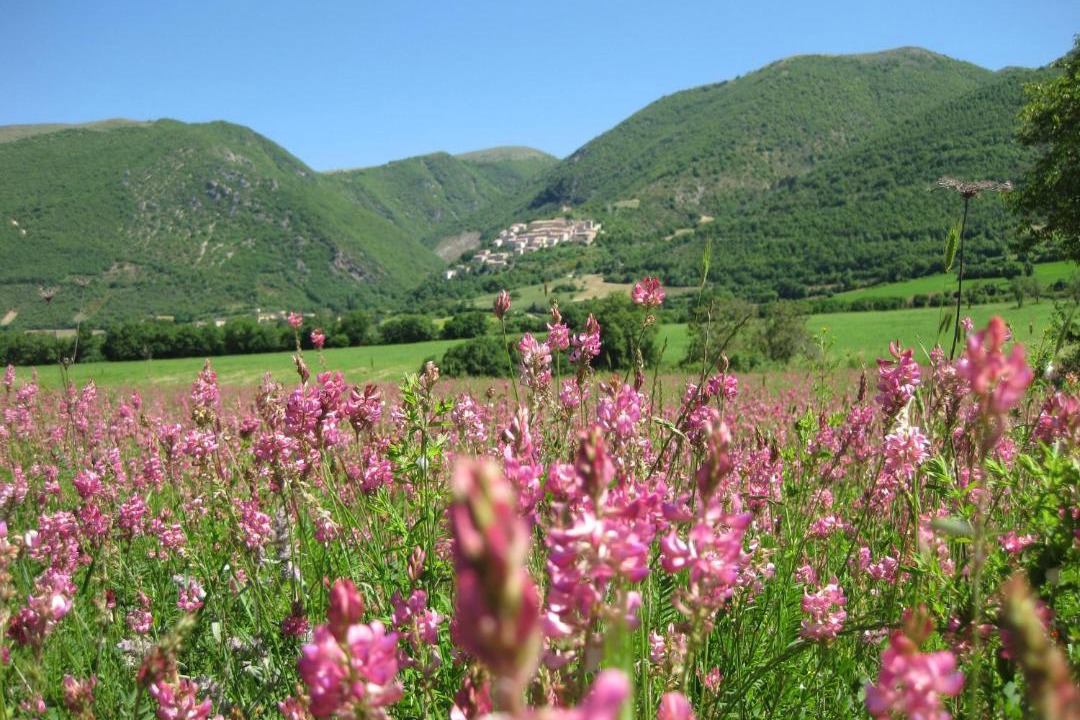 Photo of Others in Casali di Serravalle