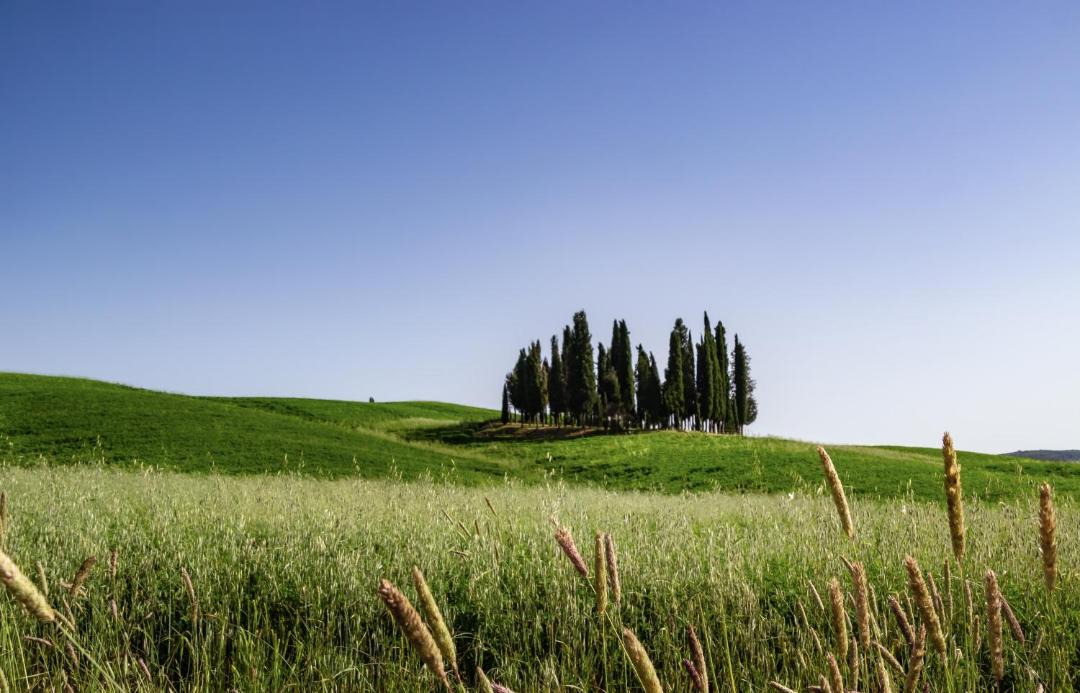 Photo of Others in Pienza