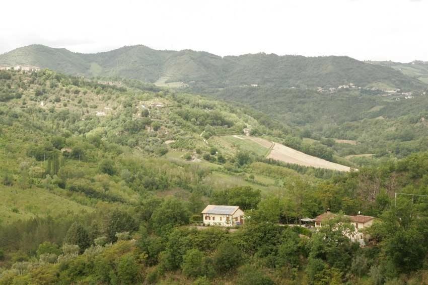 Photo of Others in Ascoli Piceno