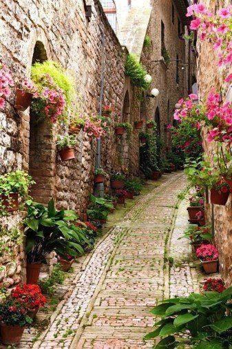 Photo of Buildings in Casenuove