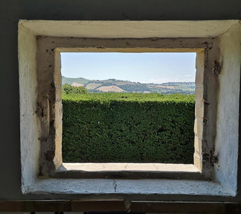 Photo of Others in Monte Urano