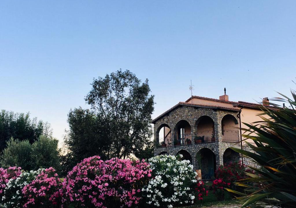 Photo of Others in Manciano