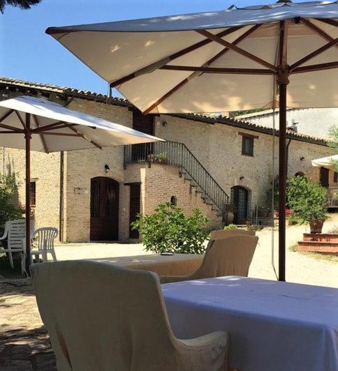 Photo of Others in Montefalco