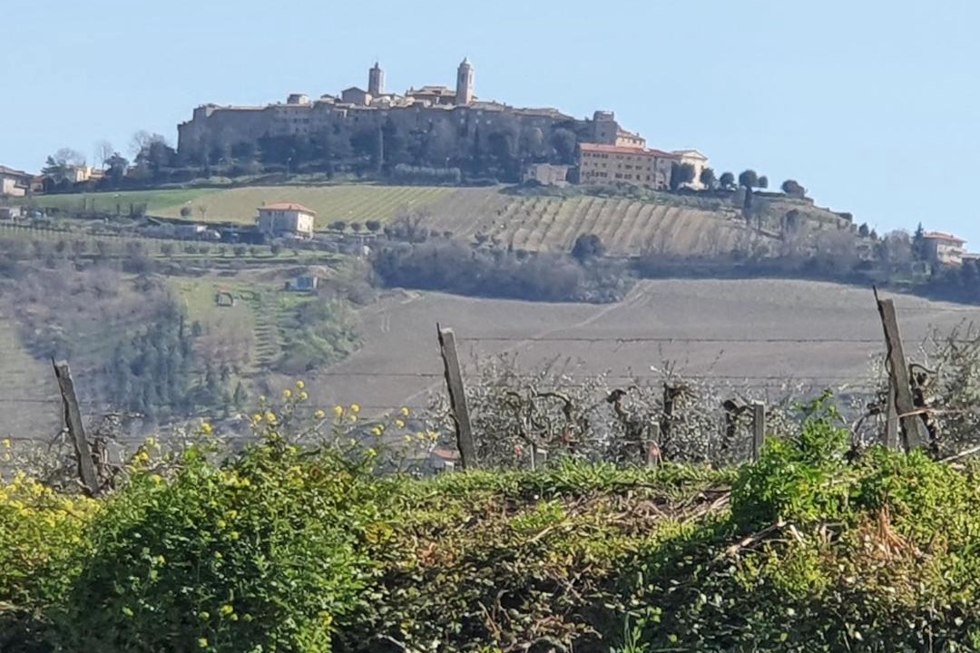 Photo of Others in Cossignano
