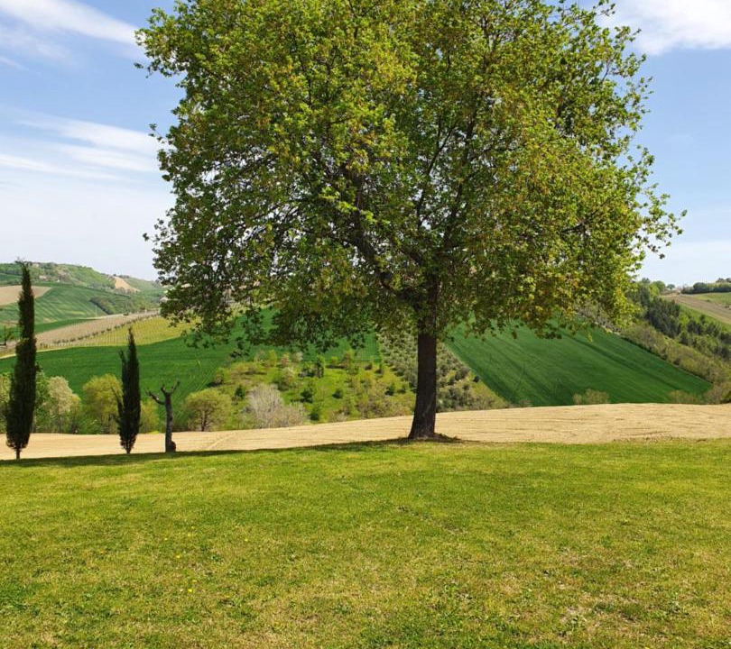 Photo of Others in Cossignano