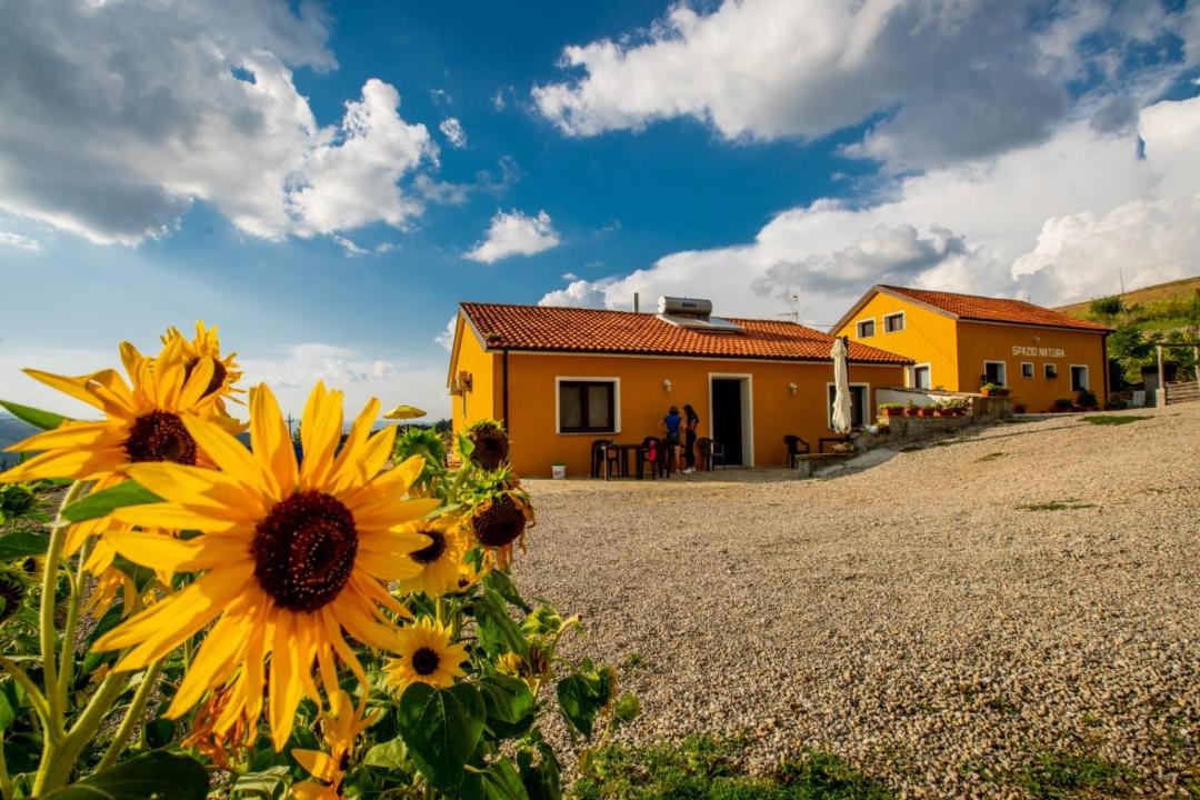 Photo of Others in Castelmezzano