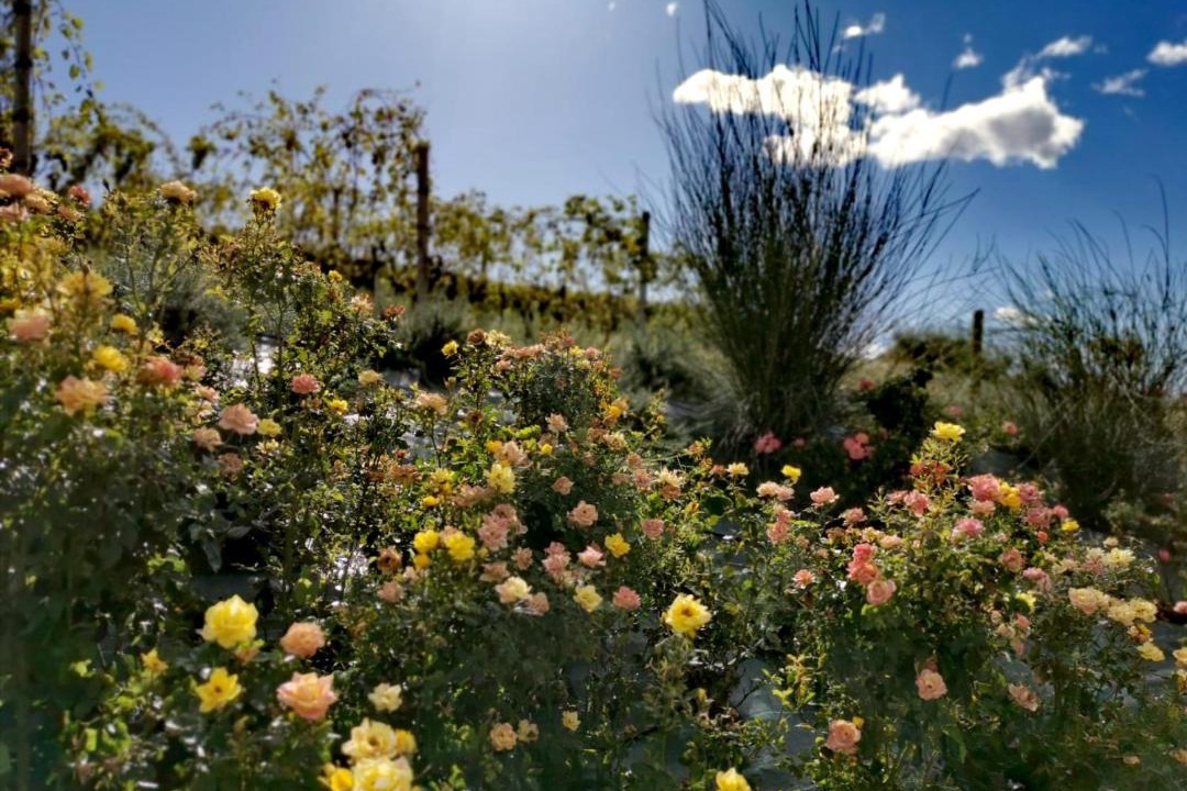 Photo of Outdoor in Carassai