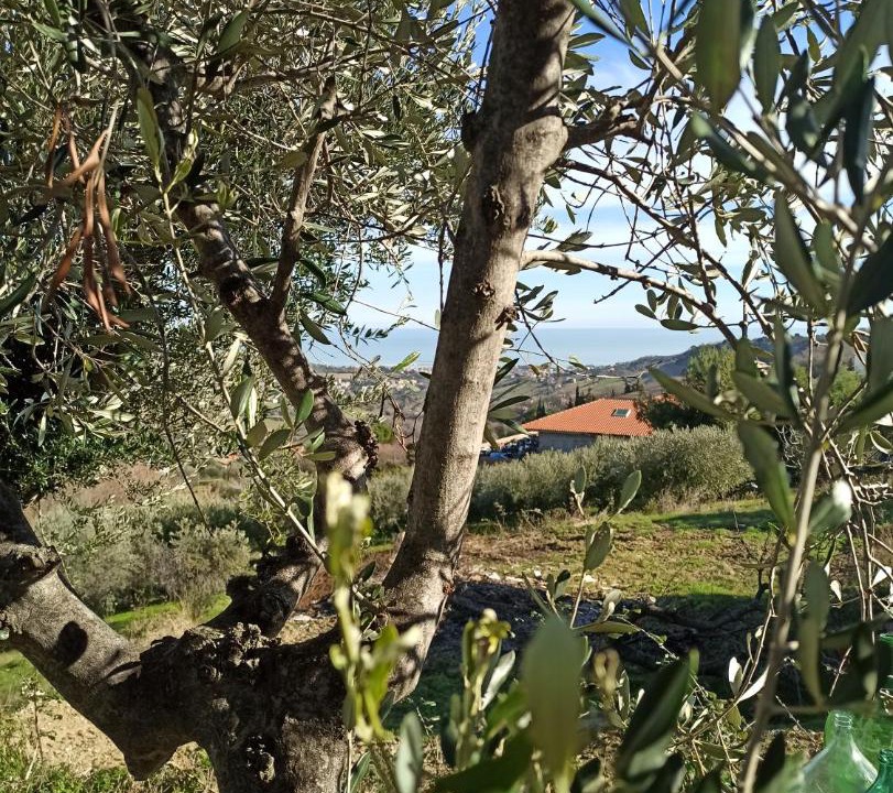 Photo of Outdoor in Acquaviva Picena