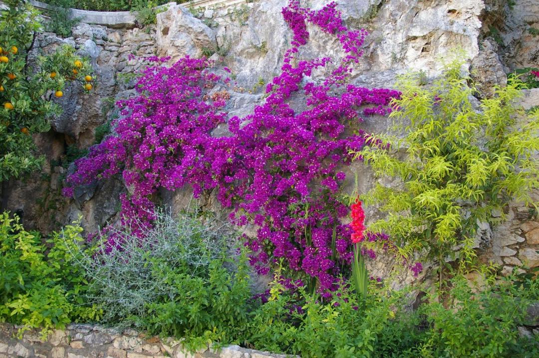 Photo of Others in Saturnia