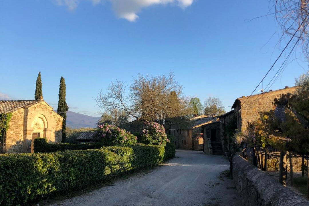 Photo of Others in Montalcino