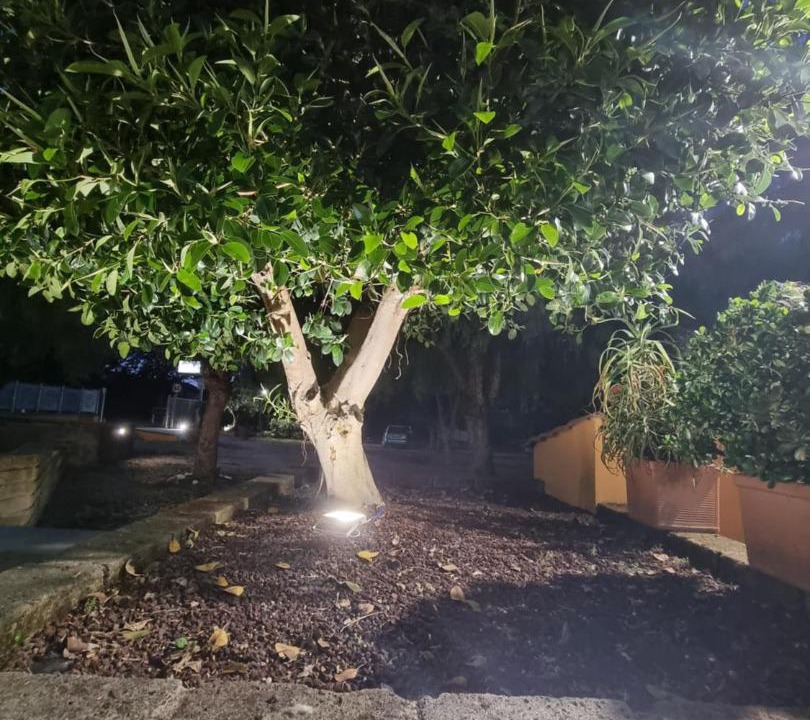 Photo of Outdoor in Monte San Biagio