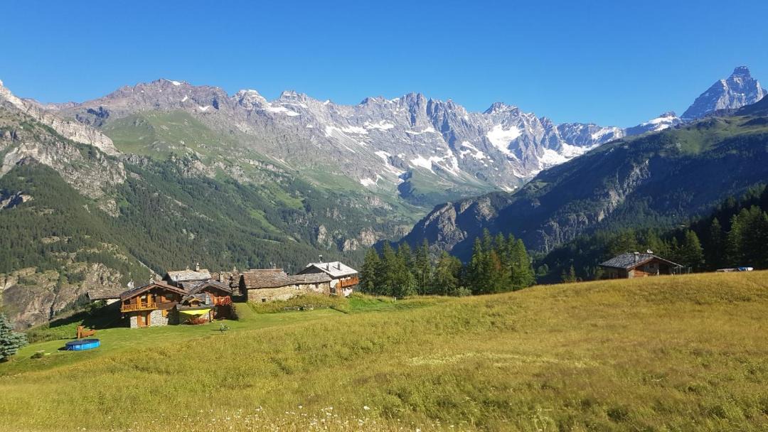 Photo of Others in Valtournenche