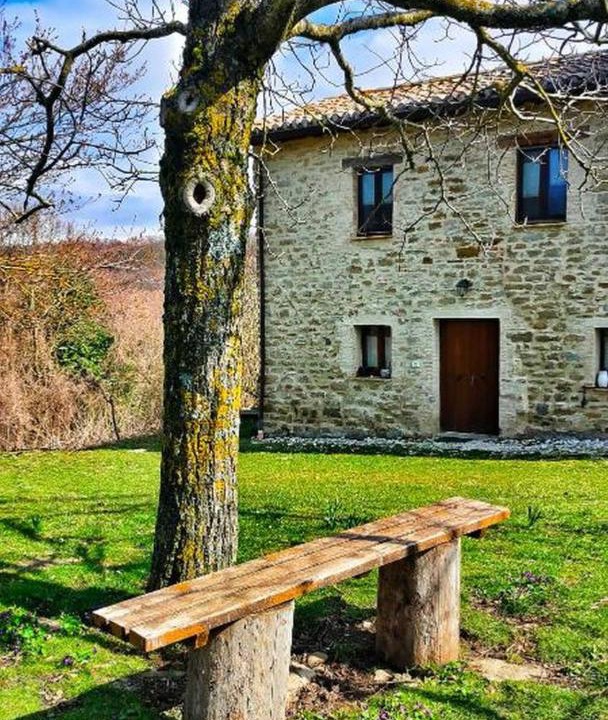 Photo of Others in Assisi