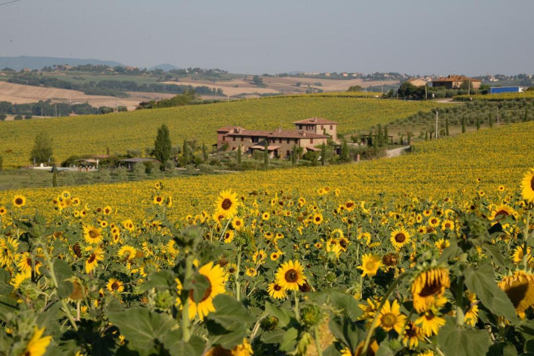 Photo of Others in Paciano