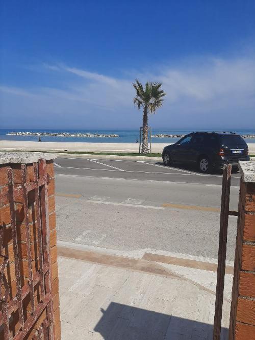 Photo of Others in Civitanova Marche