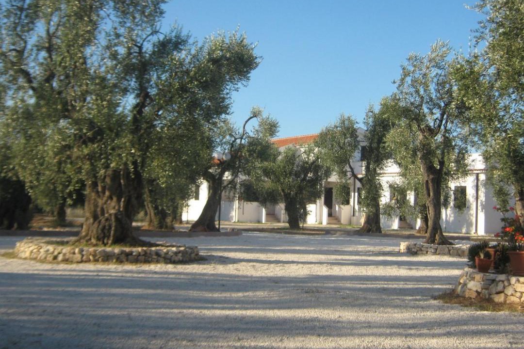 Photo of Others in Chiesiola