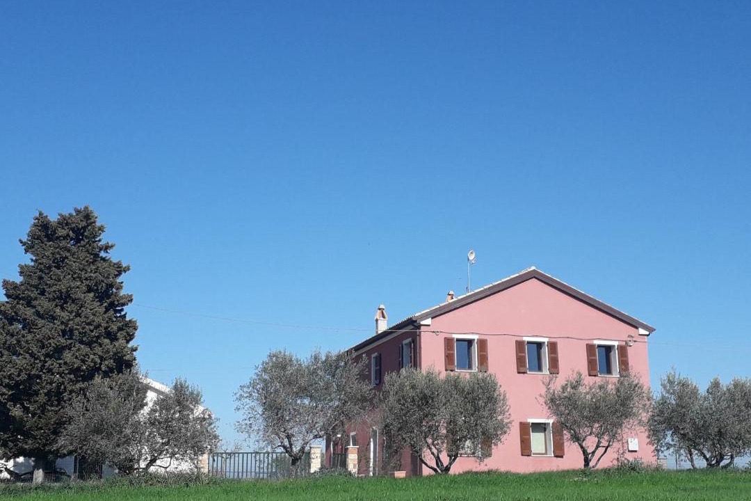 Photo of Others in San Costanzo